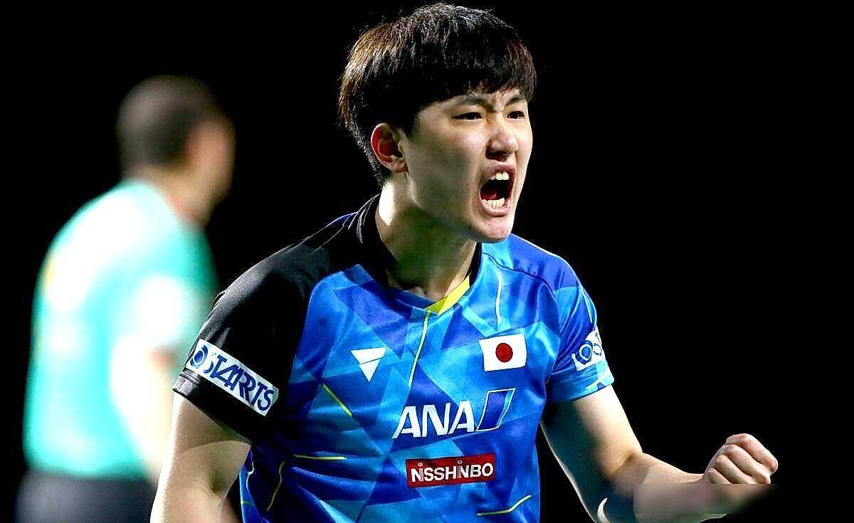 关于中国队翻盘波兰队，张本智和高光表现的信息