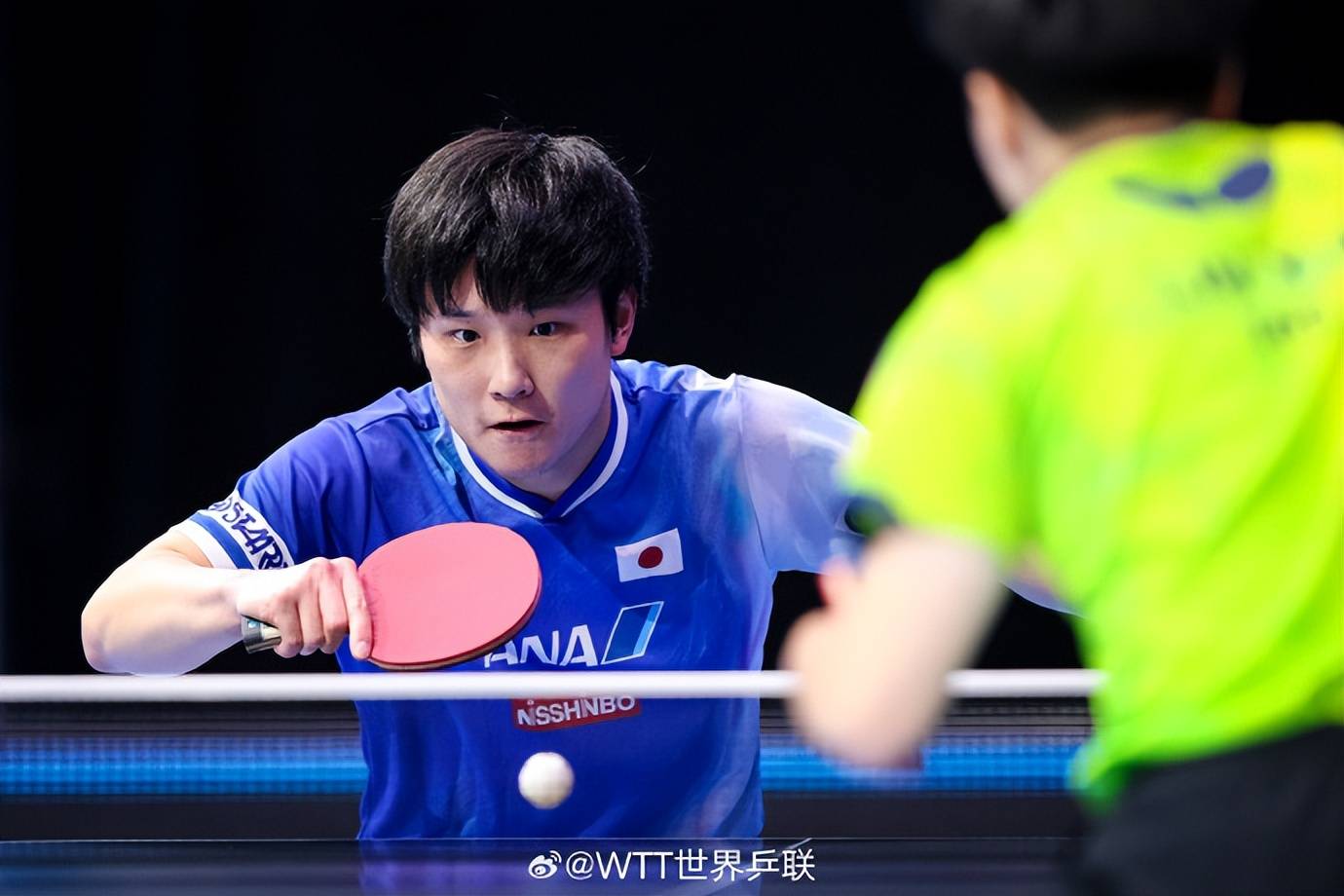 葡萄牙队力克波兰队,张本智和关键制胜 葡萄牙队力克波兰队,张本智和关键制胜