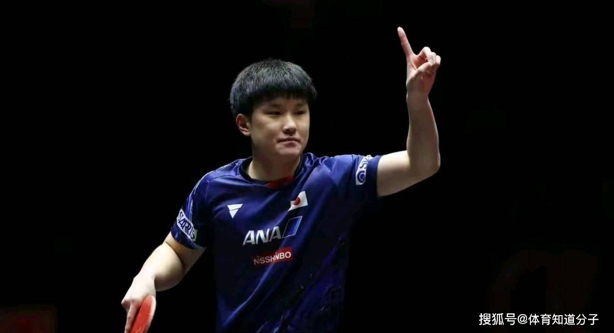 葡萄牙队力克波兰队,张本智和关键制胜 葡萄牙队力克波兰队,张本智和关键制胜