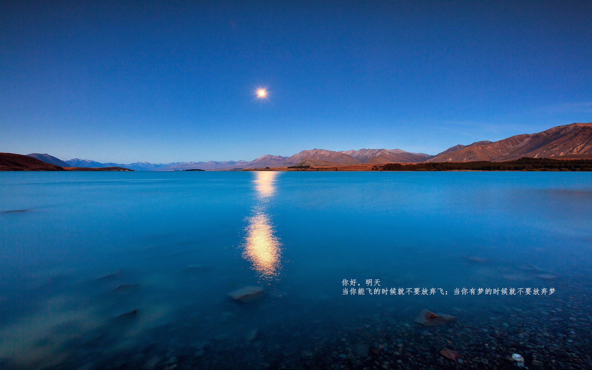 从无名之辈到关键先生，马丁内利导演马里逆转威尔士奇迹