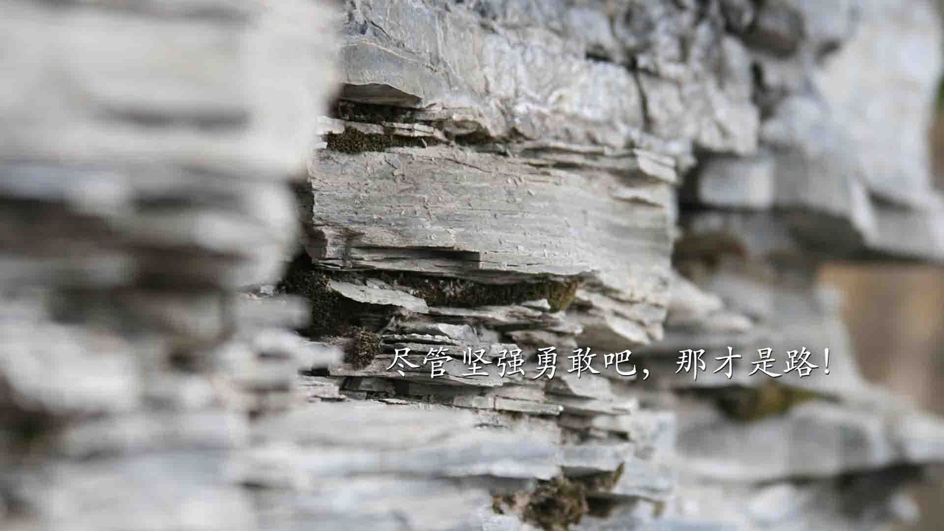 F1视角下的NBA揭幕战，奇才车队如何粉碎黄蜂引擎