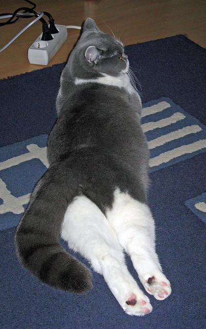 历史唯一的交叉点，当赛道上的争冠硝烟与球场下的黑色风暴在2007年同频