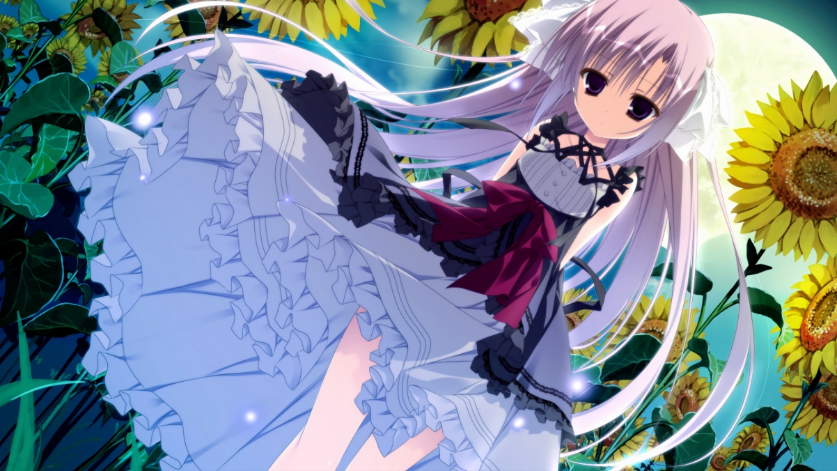 战地绿茵，从巴格达看台的布鲁诺爆发到伊拉克争冠征程