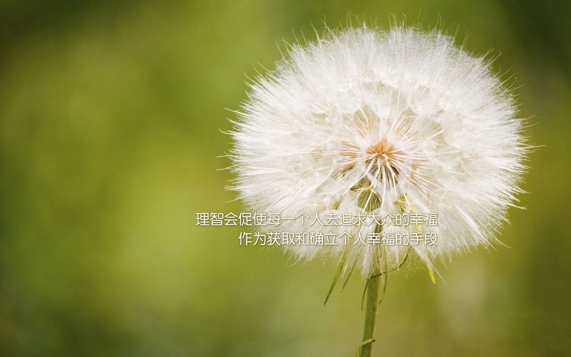 德布劳内临危救主，几内亚单节爆发力克南非