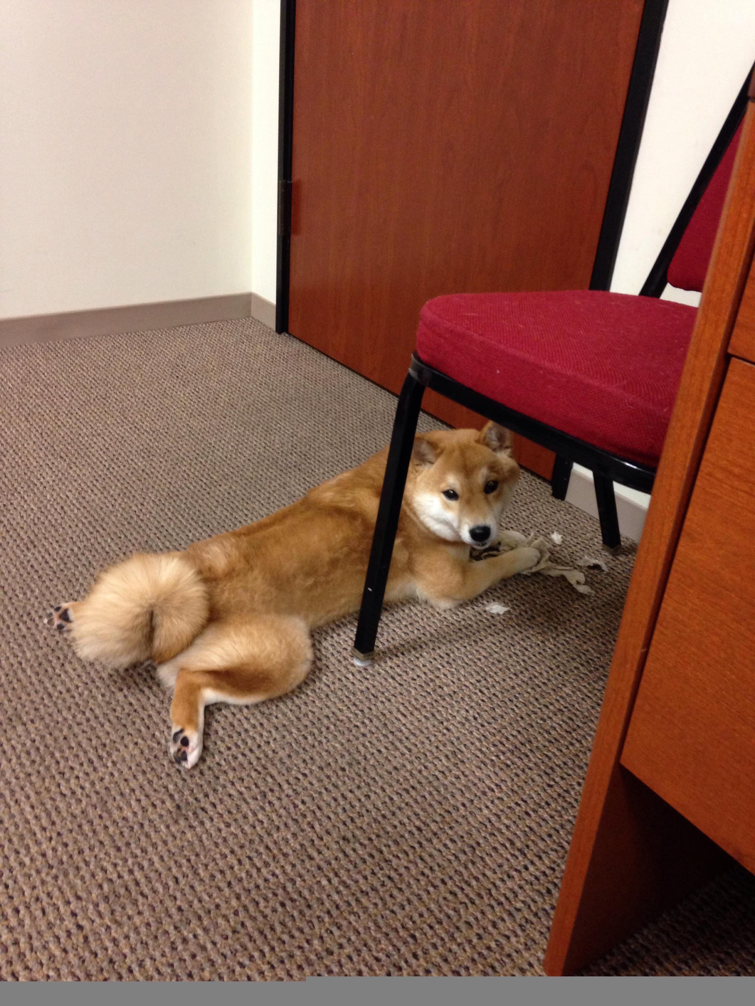 从沙漠到绿茵，节奏大师如何用瑞士钟表驯服欧冠沙暴