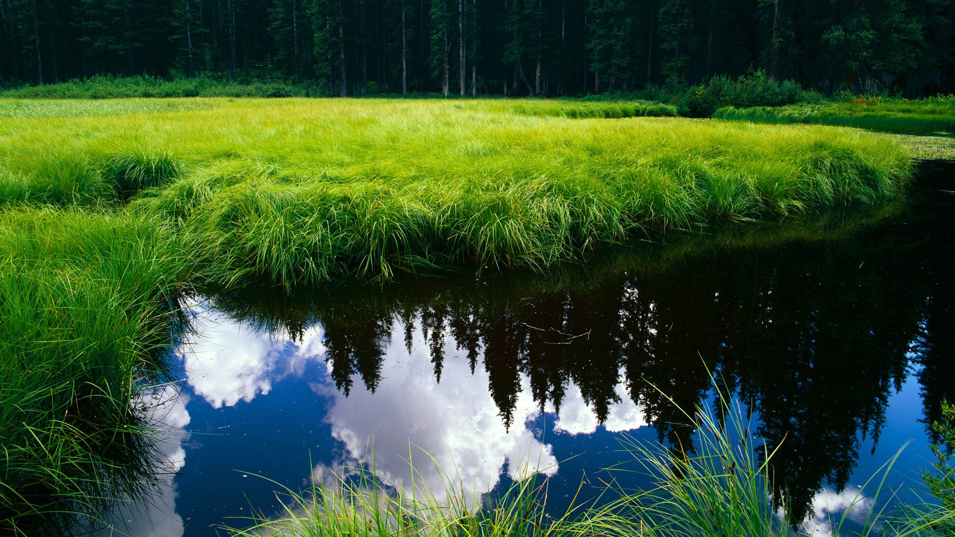 黄潜艇的钢铁意志，当比利亚雷亚尔哲学注入德国战车