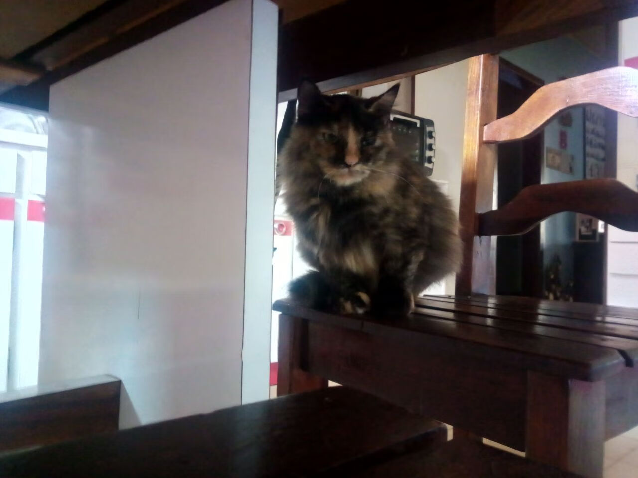 绿茵与硬木的交响，欧冠决赛的智慧照亮灰熊突围爵士之路