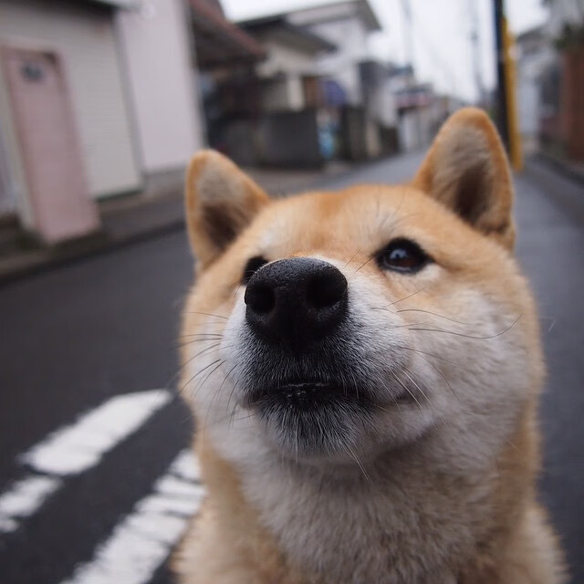 战术交响乐，亚特兰大强势拿下摩洛哥，基耶萨节奏完全掌控