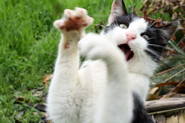 当叹息之墙遇见链式锁,库尔图瓦与罗马防线的终极防守对话