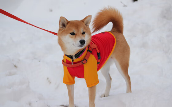 梅西魔法让悬念提前终结，美国末节狂潮带走皇马