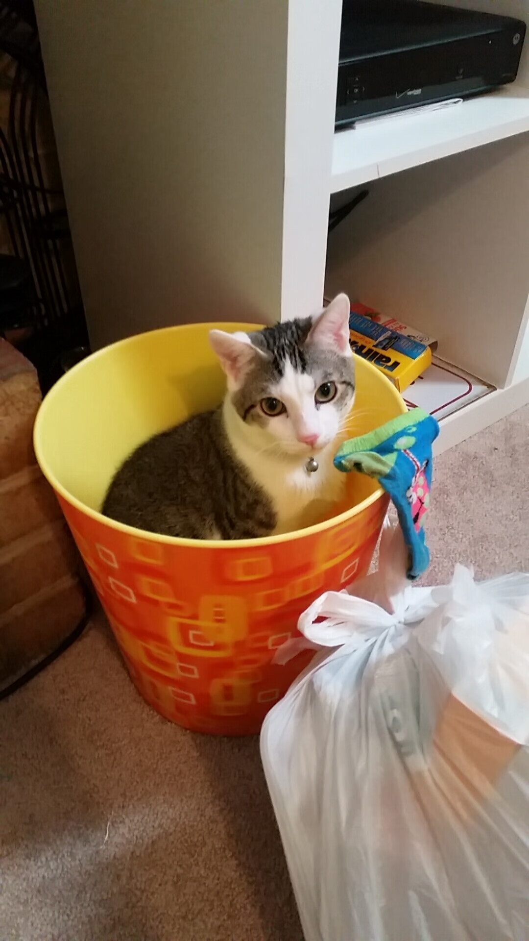 锁链上的钻石，解密葡萄牙如何用混凝土防线绞杀国际米兰的华丽进攻