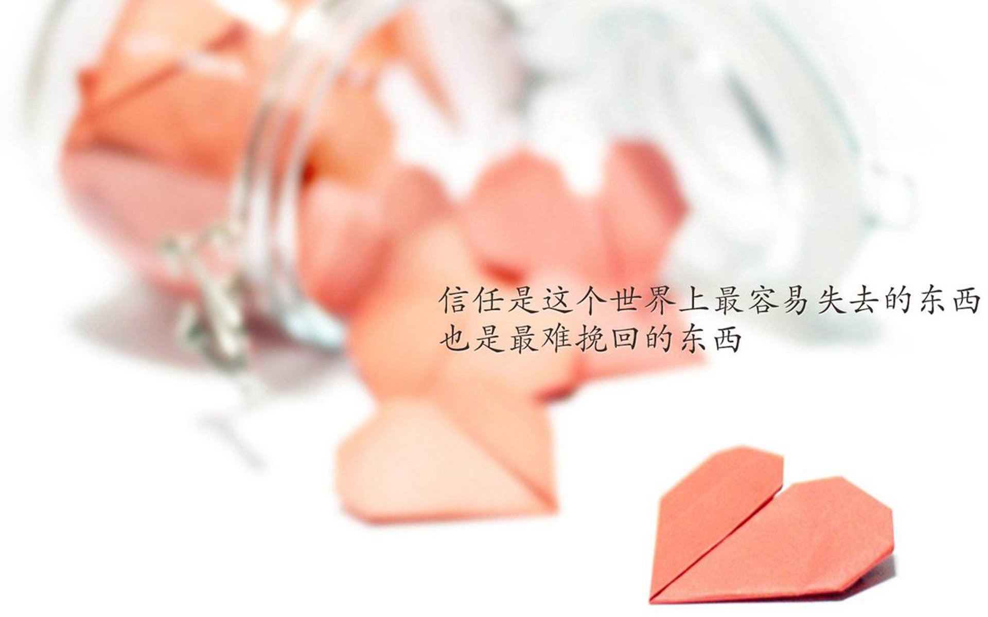 深蓝竞技场，当贝恩用三分雨浇灭奥兰多，深圳队以战术火力拆解魔术代码