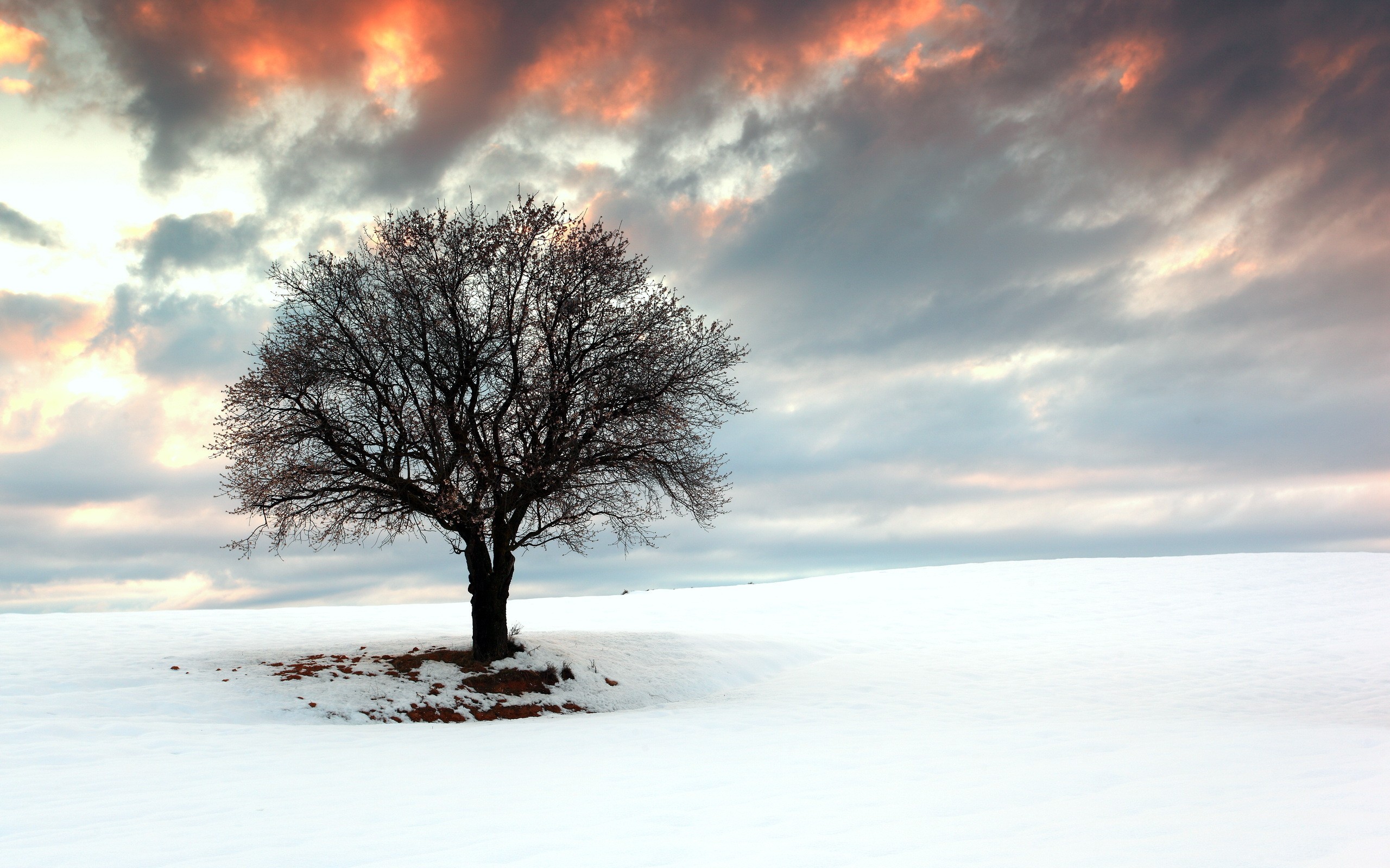 双线奏凯，暗战升级，头名之争的攻守哲学与闪光少年的加冕礼